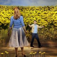 Something's Coming: Broadway Fall Season Preview- The Musicals!