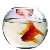 GIRL IN THE GOLDFISH BOWL to Open Bakehouse Theatre's 2013 Season, April 18 Video