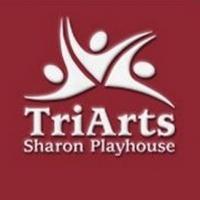 TriArts Sharon Playhouse Announces 2013 Season Video