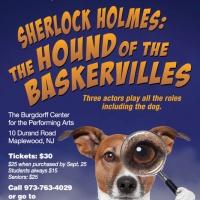 Theater Project to Offer Pay-What-You-Can Performance of THE HOUND OF THE BASKERVILLE Video