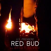 Signal Ensemble Presents RED BUD, Now thru 2/28 Video