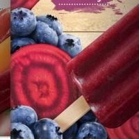Nestle Dreyer's Introduces First National Line of Fruit and Vegetable Frozen Bars