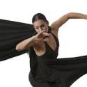 BWW Reviews: GroundWorks Dance is Superb in Allen Premiere Video
