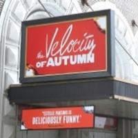 Up on the Marquee: THE VELOCITY OF AUTUMN