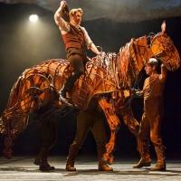 WAR HORSE to Play Omaha's Orpheum Theater, 4/8-13 Video