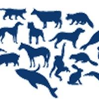 Buffalo Exchange Joins The Human Society of the United States with a $1 Earth Day Sal