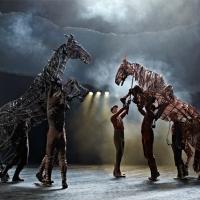 BWW Reviews: WAR HORSE - A Brilliant Spectacle of Puppet Mastery