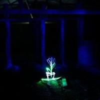 Live Lightpainting Comes to Adelaide Fringe, Now thru 12 March