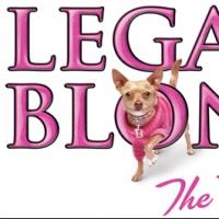 LEGALLY BLONDE Opens at the Maverick Theater Tonight Video