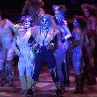 STAGE TUBE: First Look at Kenneth Prymus, Jennifer Shrader and More in Highlights of NCT's CATS