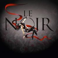 BWW Reviews: LE NOIR – THE DARK SIDE OF CIRQUE Is A Thrilling Blend Of Old World Circus And Burlesque For The 21st Century.