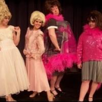 SRO and CATCO's HAIRSPRAY to Play thru 3/10 at Shedd Theatre Video