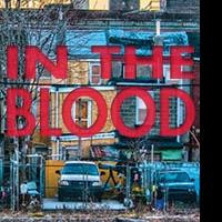 Theatre Horizon Stages Suzan-Lori Parks' IN THE BLOOD, Now thru 5/9 Video