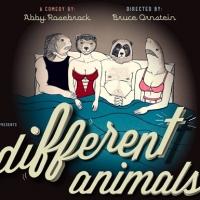 Abby Rosebrock's DIFFERENT ANIMALS Will Make Its Off-Broadway Debut in May Video