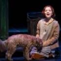 BWW Reviews: ANNIE Lights up the Stage at Beck Center