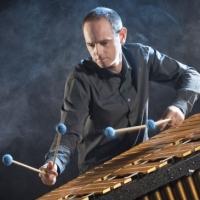 BWW Reviews: NICHOLAS PARNELL VIBES VIRTUOSO Is a Wide Ranging Collection of Fine Mus Video