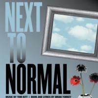 ShenanArts' NEXT TO NORMAL Begins Tonight