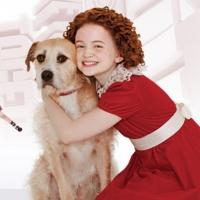 Breaking News: It's the Hard Knock Life - ANNIE to Close on Broadway January 5, 2014