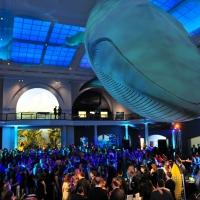 American Museum of Natural History Hosts 2014 Museum Dance, STAR STUDDED!, Tonight Video