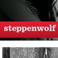 Buzz22 Chicago's SHE KILLS MONSTERS Adds Final Performance at Steppenwolf Video