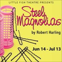 BWW Reviews: An Eclectic Group of Ladies Share Their Joys and Sorrows in STEEL MAGNOLIAS at Little Fish Theatre