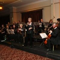 Evelyn Grant, Cork Pops Orchestra to Present Primary School Shows Featuring DABBLEDOO Video