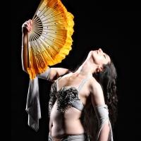 BWW Reviews: BLOOD ON THE VEIL Celebrates the Often-Maligned Art of Belly Dance