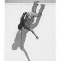 Sarah Charlesworth's 1980 Series STILLS Reprised at the Art Institute of Chicago Video
