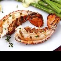 New Specials on Maine Lobster Tails for Delivery at GetMaineLobster.com