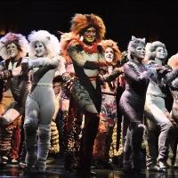 Photo Flash: First Look - CATS Opens Tonight at Beef & Boards Dinner Theatre Video