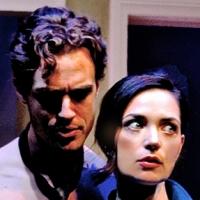 BWW Reviews: Sparkling Cast in Falcon's A OR B? Video
