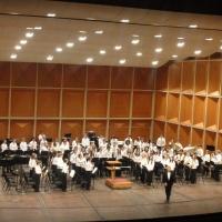 Milwaukee Youth Symphony Presents BRASS, BOWS, AND BRILLIANCE Today Video