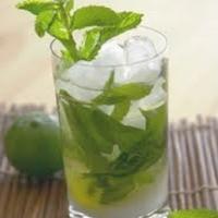 Lake Worth Playhouse to Present THE TROPICANA on November 2, 2013