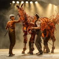 BWW Reviews: WAR HORSE - A Visually Stimulating Unique Experience Video