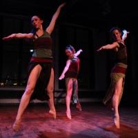 Dance Entropy Presents 2014 GREEN SPACE BLOOMS Festival, Now thru 4/13 Video