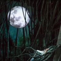 Lyric Opera of Chicago's RUSALKA to Open This Weekend Video