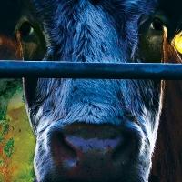 Molloy College Holds Special Screening of COWSPIRACY