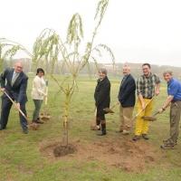 New York City to Plant Tree Clones in Van Cortlandt Park
