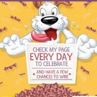 Nothing Like Bacon - Hamlet, Beggin's Mascot Celebrates One Million Bacon-Loving Face