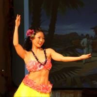 Polynesian Paradise Dancers Bring Aloha Spirit to Gorilla Tango in Skokie Tonight Video
