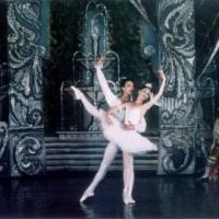 BWW Reviews: THE SLEEPING BEAUTY at The Brooklyn Center for the Performing Arts