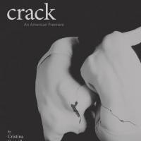 swissnexBoston Presents CRACK: An English-Language Premiere, 10/29 Video