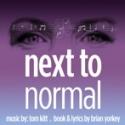 Marya Sea Kaminski to Star in Balagan Theatre and Contemporary Classics' NEXT TO NORM Video
