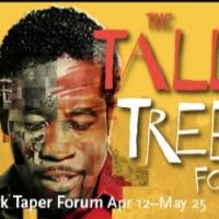 Daniel Beaty's THE TALLEST TREE IN THE FOREST to Play CTG's Mark Taper Forum, 4/12-5/ Video