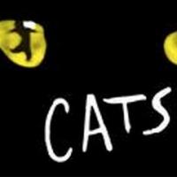 CATS to Launch Australian Tour Video