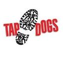 TAP DOGS Come to The Bushnell, 12/8 Video