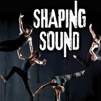 BWW Reviews: SHAPING SOUND at the Capitol Theatre is Electrifying and Stunning Video
