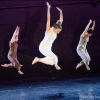 NEW YORK LIVE ARTS to Present The Barnard Project, 11/21-23 Video