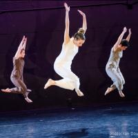 NEW YORK LIVE ARTS Presents The Barnard Project, Now thru 11/23