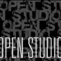 Erin Markey, Max Steele, Anna Sperber and More Set for BAX's 2013 OPEN STUDIO SERIES, Video